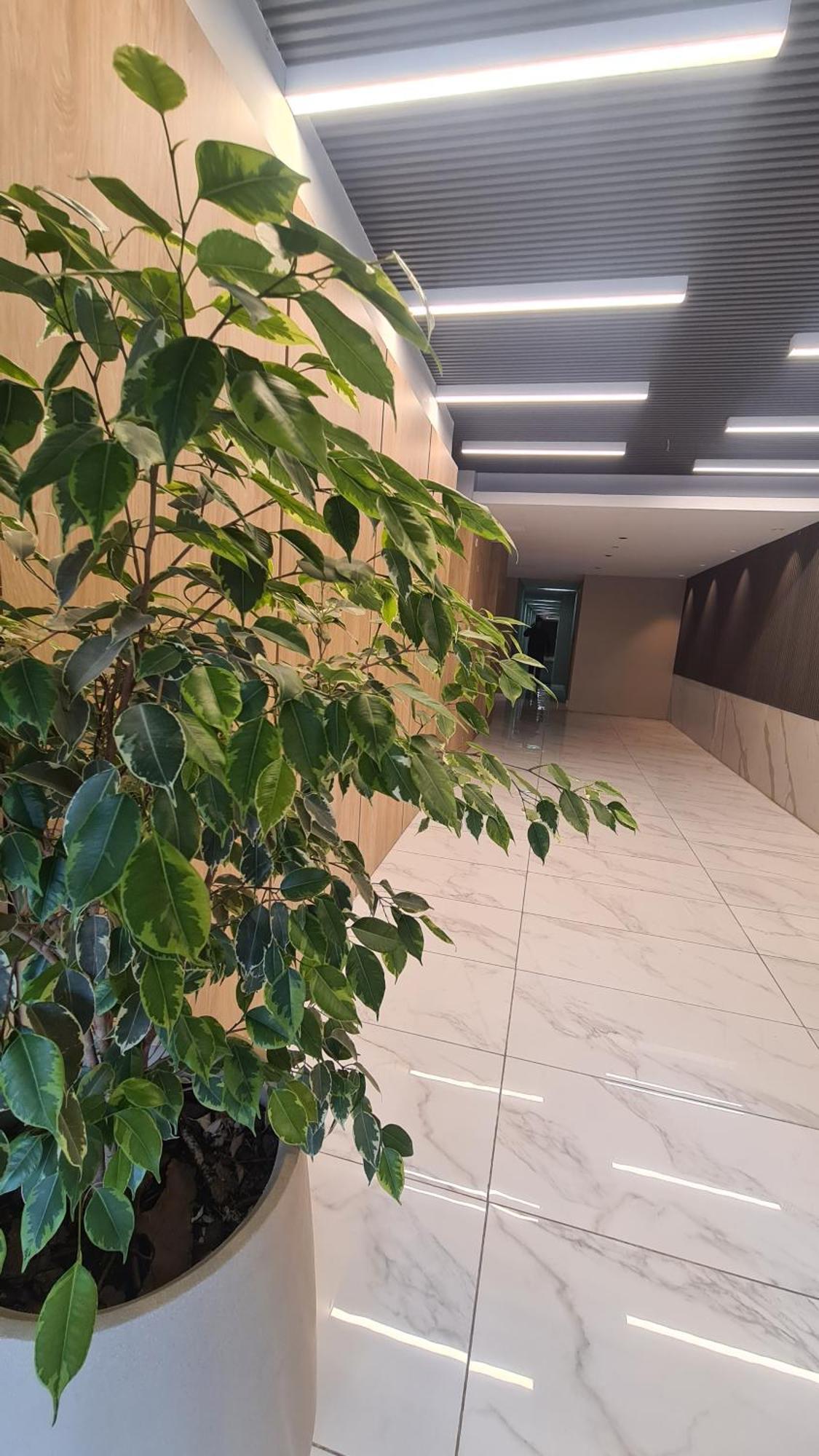 Apartamento Sundara Tan Perfecto Que No Vas A Querer Irte Villa Carlos Paz